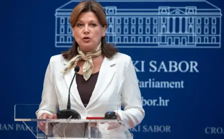 Vidović Krišto podnijela više kaznenih prijava zbog požara u Osijeku