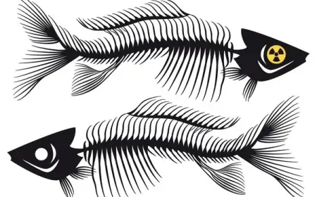 Nova pravila EU-a za kontrolu ribarstva