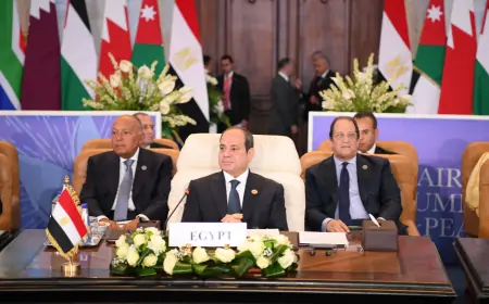 Kairo: Sudionici "mirovnoga samita”  žele prekid vatre i pomoć za Gazu