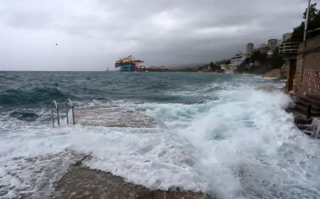Nevrijeme: Na Braču kiša i jugo rušili stabla