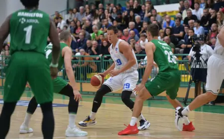 Košarka:  Zadar razbio Krku u Novom Mestu!