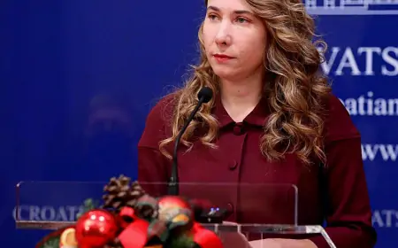 Selak Raspudić (Most): Mi uporno predlažemo, vi uporno odbijate!