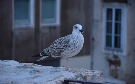 Vrijeme: Promjenljivo oblačno sa sunčanim razdobljima