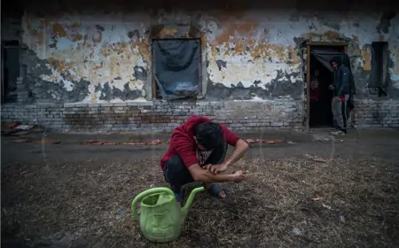 Srbija: Trojica migranata ubijena u međusobnom sukobu u blizini Horgoša