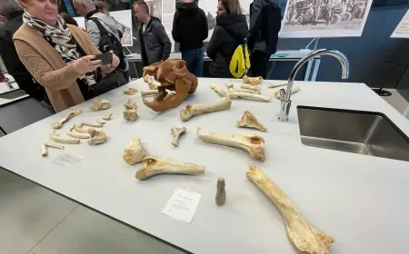 Obilježava se 110. godina otkrića Cerovačkih špilja