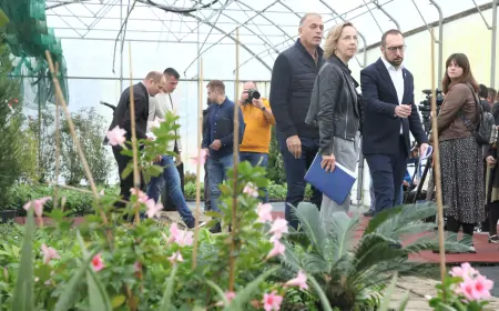 Tomašević najavio sadnju 8000 stabala u Zagrebu
