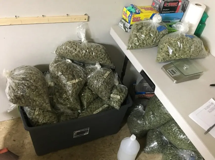 U splitskom stanu  držali više od 4,4 kilograma marihuane