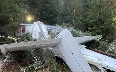 Tragedija u Austriji: Četvero mrtvih u padu malog zrakoplova