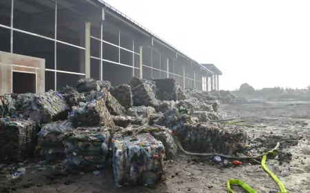 Osječko-baranjski SDP: Situacija oko požara svela se na politikanstvo HDZ-a