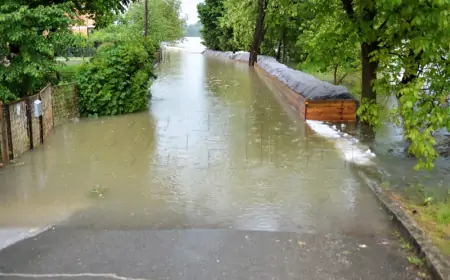 Hrvatske vode puštaju vode Save u retencijski sustav Lonjskog polja