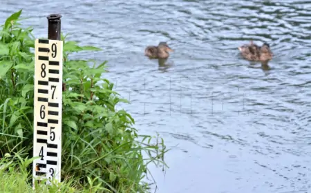 Očekuje se ponovni porast Kupe u Karlovcu, ali bez opasnosti od poplave