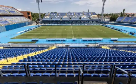 Francuski div bi gradio Maksimir