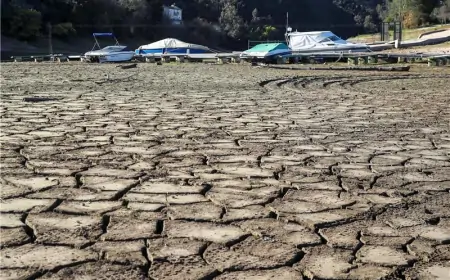 Znanstvenici: Ova godina na putu da postane najtoplija u 125 tisuća godina