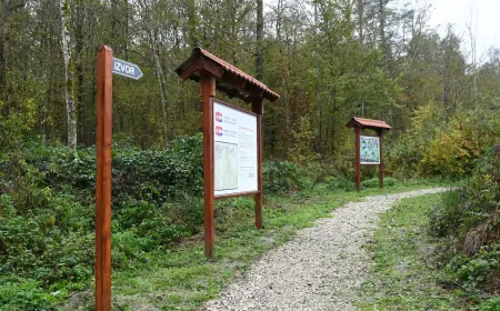 Edukativna staza simbol razminirane Kotar šume
