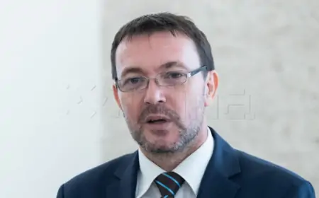 Bauk i Vidović očekuju drugačiji odnos Anušića s Milanovićem