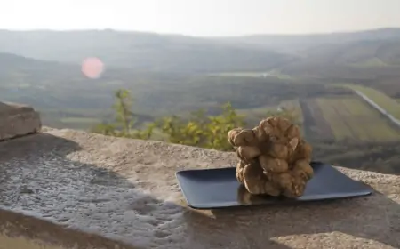 Poznati njemački časopis za gastronomiju hvali Istru
