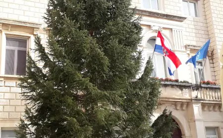 Stigla jelka na Narodni trg