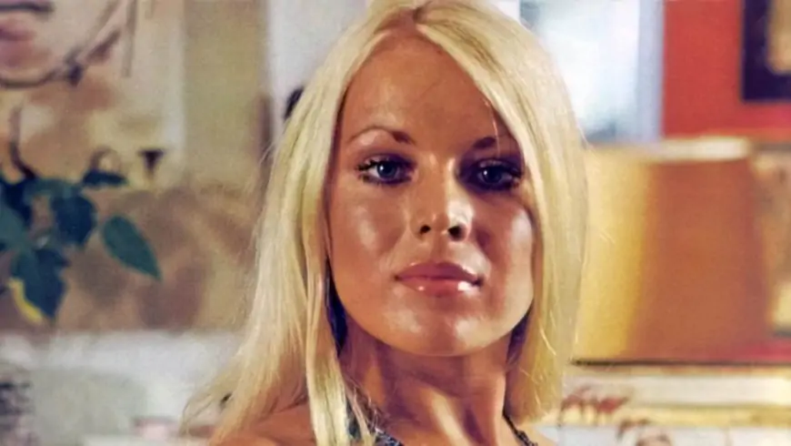 Tragedija "Playboyeve" zečice : S 21 završila je kao u sceni iz ledenog trilera