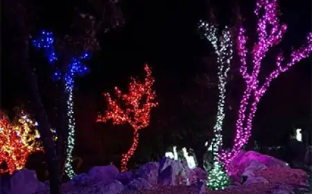 Božićno selo – više od tri miljuna lampica u Zamosorju