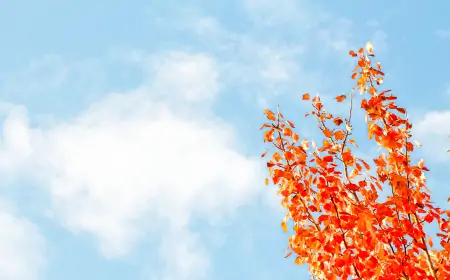 DHMZ: Sunčano, prijepodne u unutrašnjosti magla