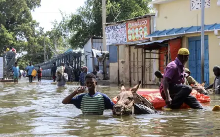 Klimatske promjene već sljedećih desetljeća prijete smrću milijunima ljudi - izvješće