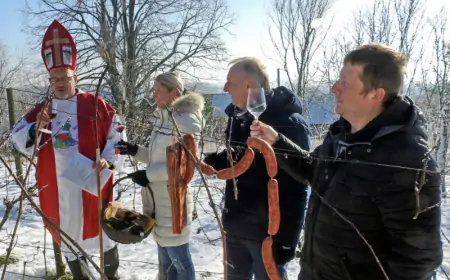 Vincekovo u Kutini