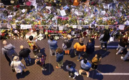 Nizozemska: Suđenje za ubojstvo istraživačkog novinara