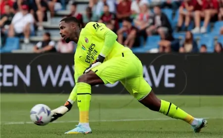 Italija: Udinese kažnjen jednom utakmicom bez gledatelja zbog rasizma