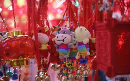 Kina: Počela lunarna Nova godina i masovna seoba ljudi