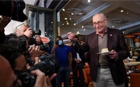 Provalio i uzeo... tortu od sira