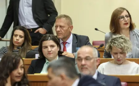 Puljak (Centar): 'Light' verzija Kaznenog zakona i dalje je opasna