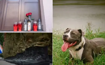 Staricu u zadarskom stanu do smrti izgrizao američki staford