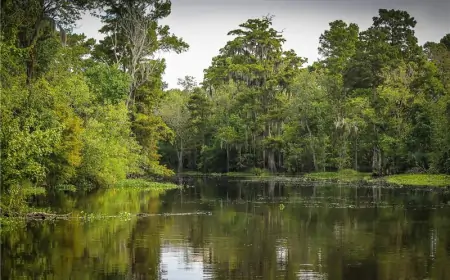 Svjetski je dan vlažnih staništa, tema je "Vlažna staništa i dobrobit ljudi"