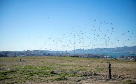 Završena druga faza sanacije Karepovca vrijedna oko sedam milijuna eura
