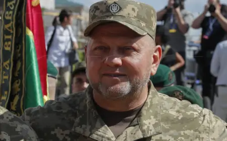 Kijev informirao Bijelu kuću da planira smijeniti šefa vojske - izvori