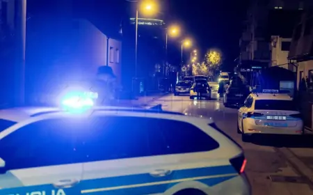 Predao se nasilnik koji je teško ozlijedio ženu i ubio psa