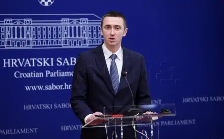 Penava (DP) pozvao Most na formiranje predizborne koalicije