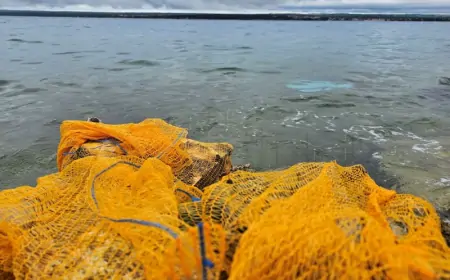 Hrvatskoj prijeti tužba zbog pomorske strategije, Ministarstvo "ulaže napore"
