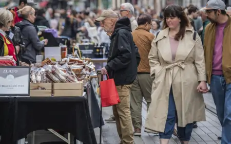 Inflacija zimmer freia