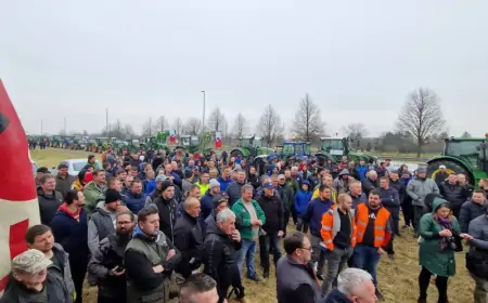 Možemo!: Uništava se poljoprivreda radi zaštite uvoznika