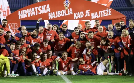 Od utorka u prodaji album sa sličicama "Vatreni put"