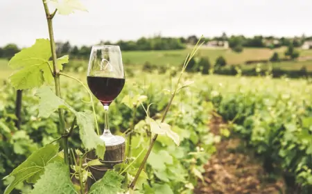Maskirani uljez namjerno prolio 60.000 litara vrhunskoga španjolskog vina