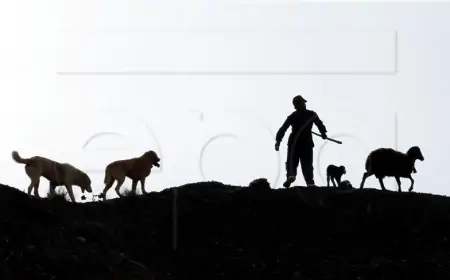 Bobi postumno izgubio titulu najstarijeg psa na svijetu