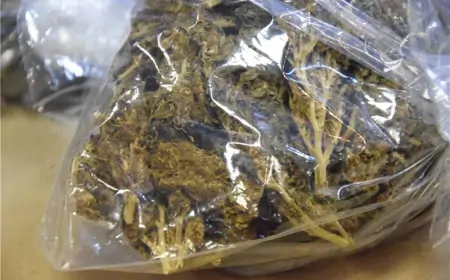 Uhićen s više od 2,6 kilograma marihuane