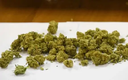 Mladić iz Daruvara uhićen s kilogramom marihuane koja mu je stigla poštom