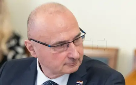 Grlić Radman o Macronovoj izjavi: Ukrajinu brane ukrajinski državljani