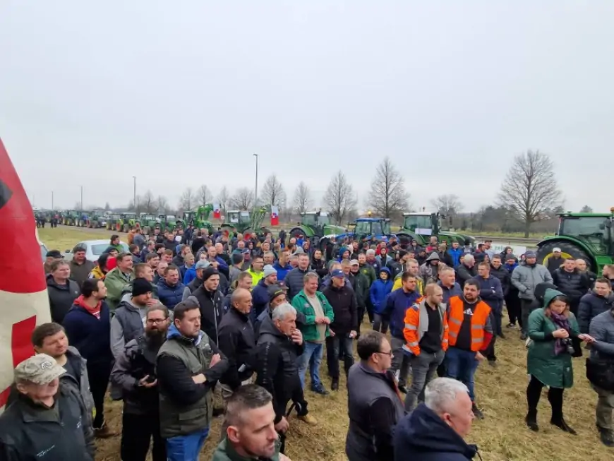 Možemo!: Uništava se poljoprivreda radi zaštite uvoznika