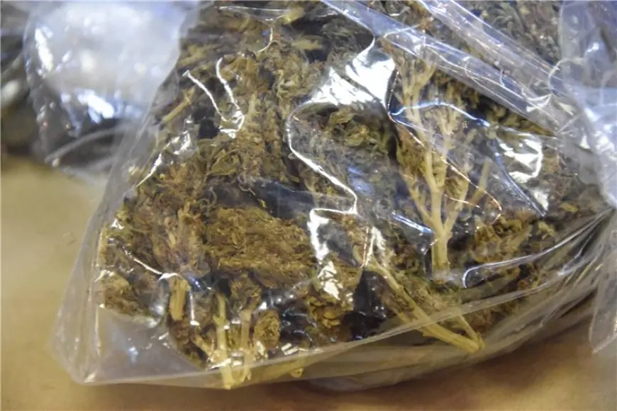 Uhićen s više od 2,6 kilograma marihuane