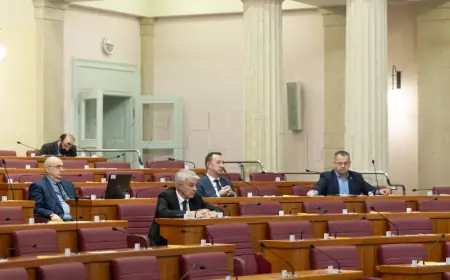 Sabor: Zakona o carinskoj službi zastupnici ocjenjuju dobrim iskorakom