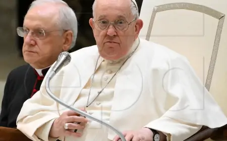 Papa Franjo primio Scholza u privatnoj audijenciji